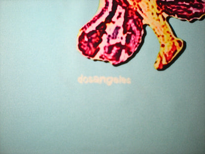 dosangeles Polo de futbol Marruecos Málaga